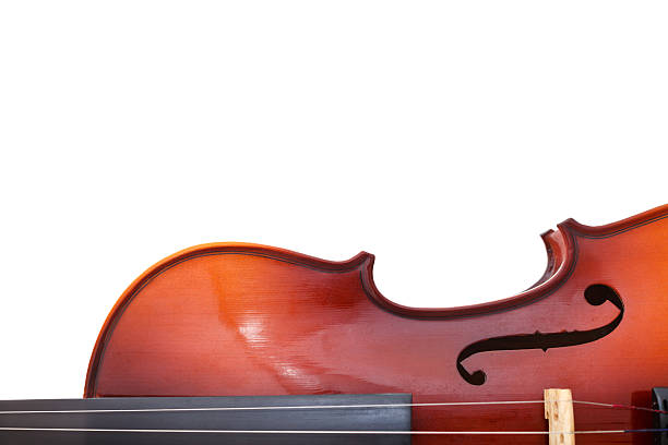 istock copyspace and half of classical wooden violin 493450385