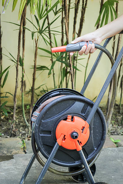 istock Prepare watering plant in the garden 493474788