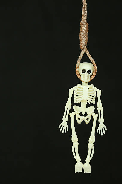 istock bankrupt concept, rope noose with hangman's knot hanging in front 493477196