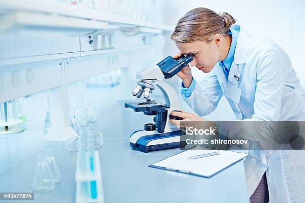 Studying New Virus Stock Photo - Download Image Now - Laboratory, Women, Science