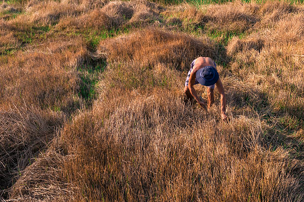 Long An, Vietnam - January 10, 2015: Farmer working on the pasture of dehydrated jute in Long An, Vietnam on January 10, 2015