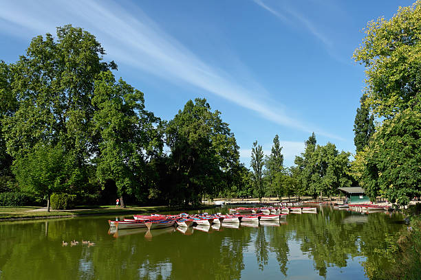 istock Daumesnil lake in Paris 493480004