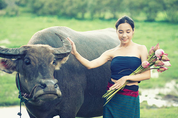 istock thai ancient young women with buffalo on rural 493480796