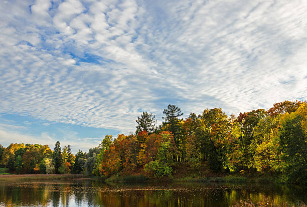 istock Beautiful autumn landscape 493484146