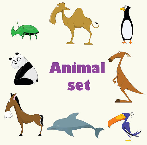 ilustrações, clipart, desenhos animados e ícones de conjunto de animais bonito - kangaroo animal humor fun