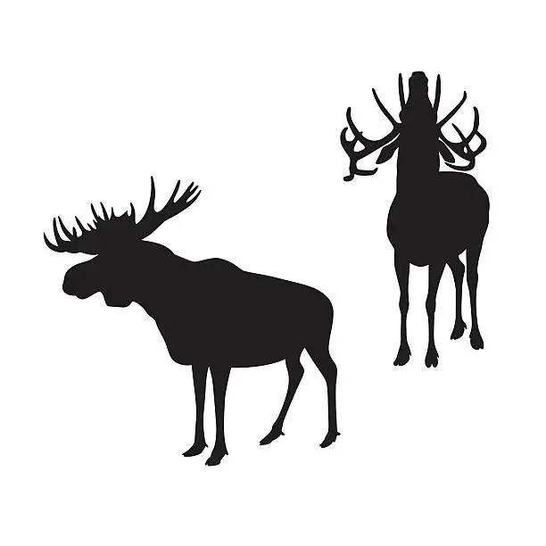 Vector illustration of Moose, Elk