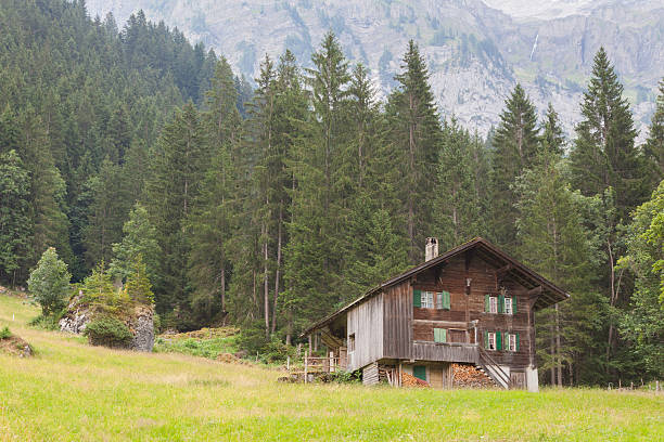 istock Typical house in the Swiss alps 493485742