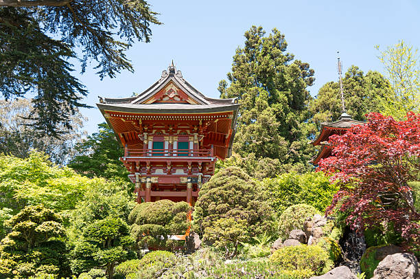 istock Japanese Tea Garden 493500597