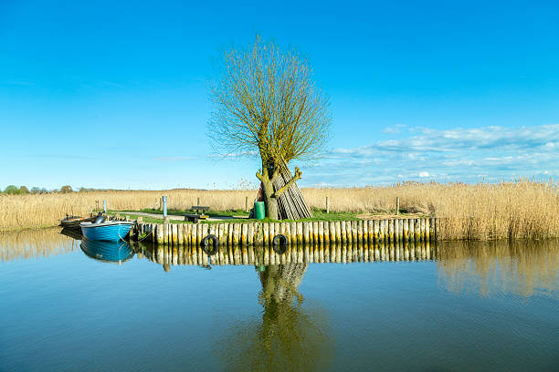 harbor at achterwasser dans zempin - reflection tranquil scene photography blue photos et images de collection