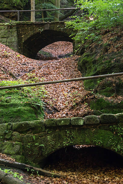 石橋の森林、チェコ-サクソンスイス - footpath autumn stone old ストックフォトと画像