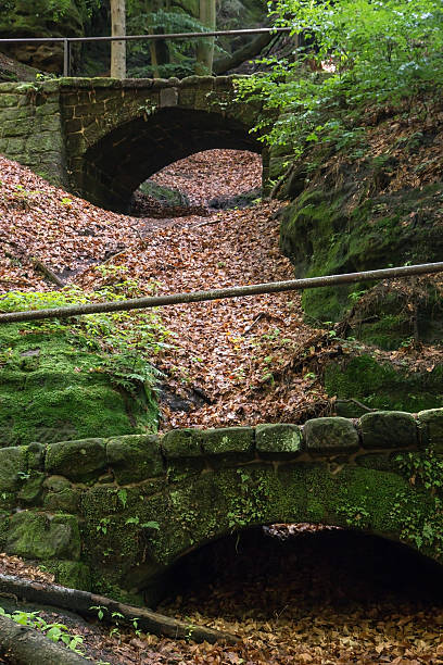 istock Stone bridges in forest, Czech-Saxon Switzerland 493503458