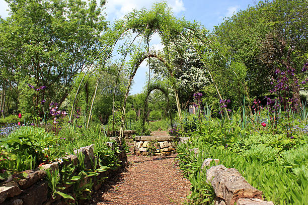 istock Ornamental vegetable garden / herb garden with woven willow arches 493503867
