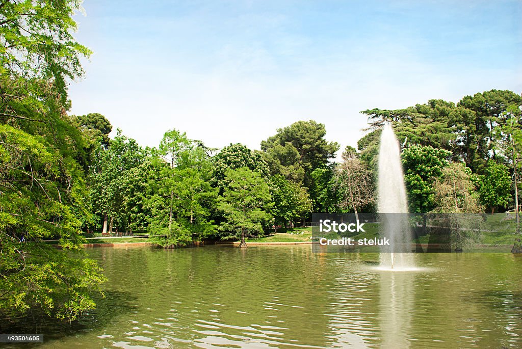 Lake in the park. Small lake with fountain in the park.  Green Park - Westminster Stock Photo
