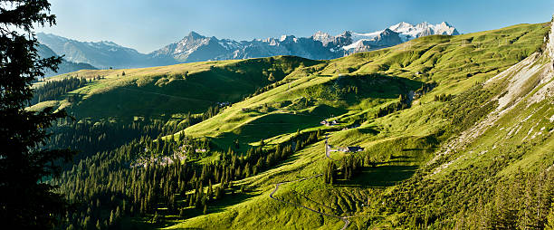 Swiss Alp Scene stock photo