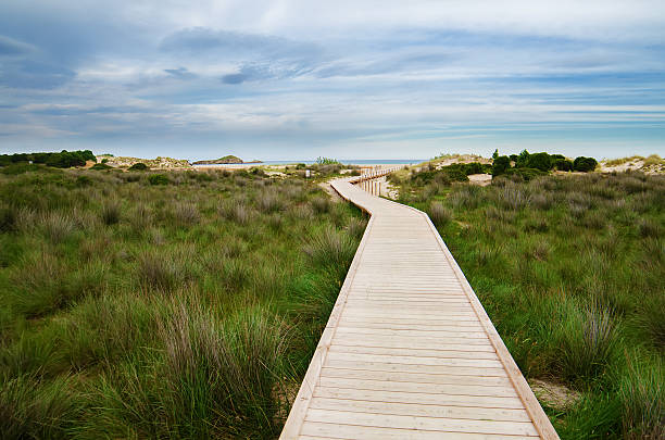 istock White sand beach of Chia, Sardinia 493505379