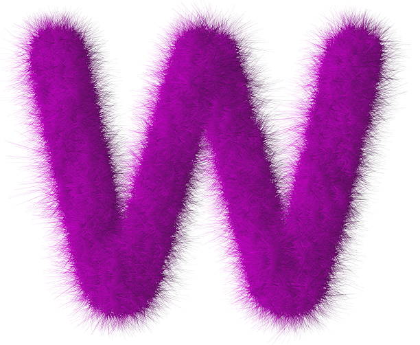 istock Purple shag W letter isolated on white background 493506089
