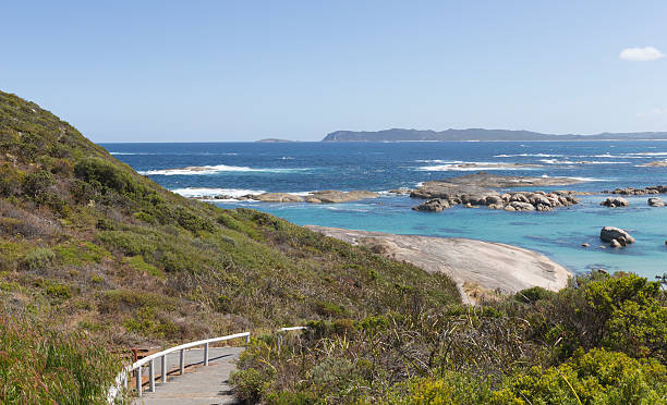 istock Walkway to Albany Beach with Lush Green Foliage 493506300