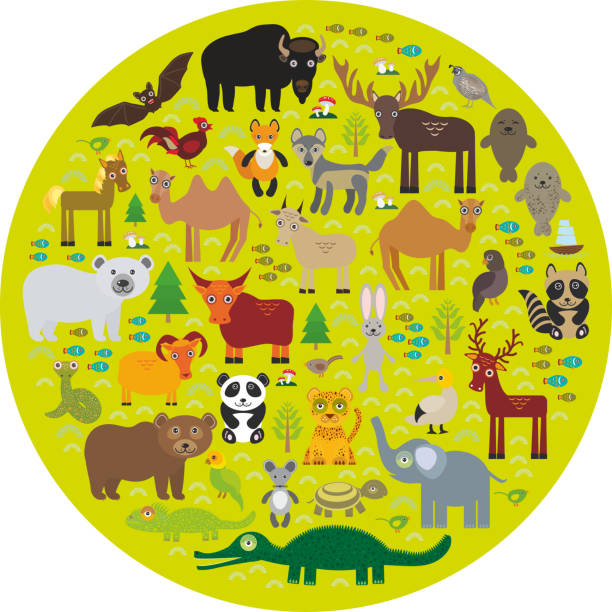istock Eurasia animal bison bat fox wolf elk horse cock camel 493513048