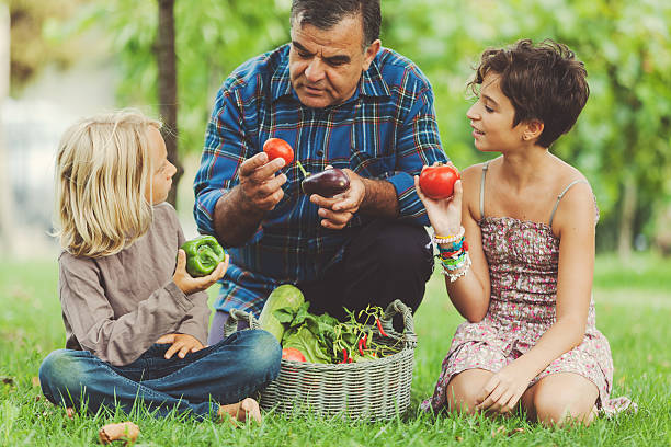 istock Grandfather and children: explaining agricultural products 493513252