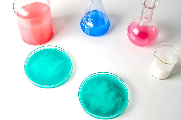 istock Laboratory glassware with liquids of different colors 493513514