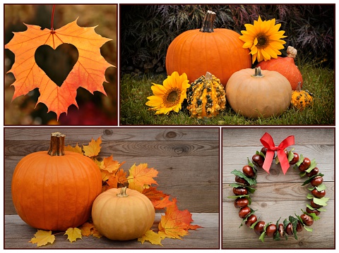 Autumn decoration, collection.