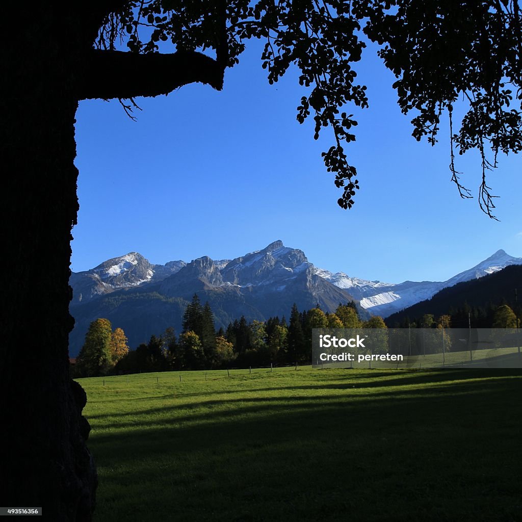 Idyllic landscape in the Swiss Alps Mountains Schlauchhorn and Oldenhorn. Autumn scene near Gstaad. 2015 Stock Photo