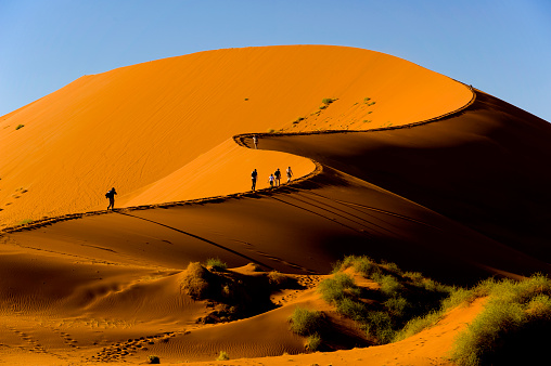 in Namib-Naukluft National Park, Namibia