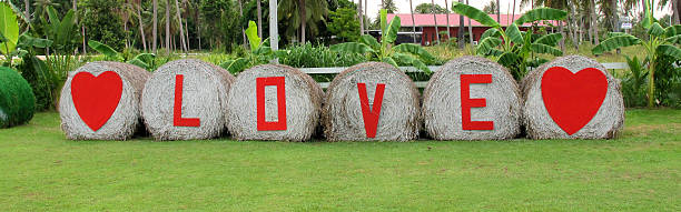 red color Love letter with heart shape on the hay
