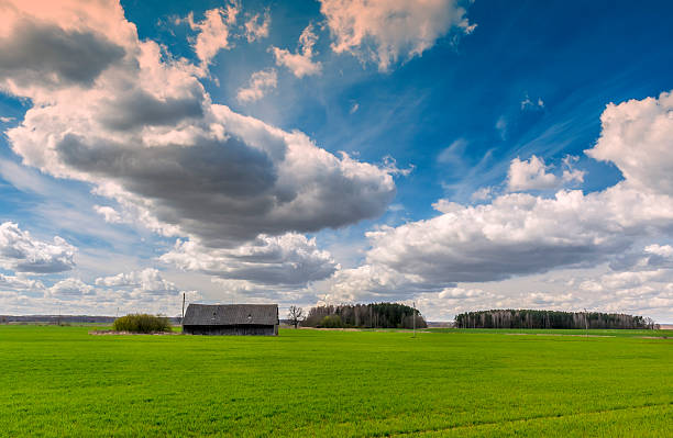 istock Rural landscape with green field and blue sky 493529204