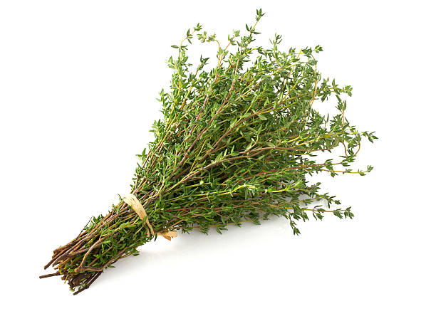 bunch of thyme - tijm stockfoto's en -beelden