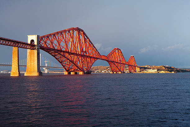 istock Seagull on Firth of Forth Rail Bridge 493534726