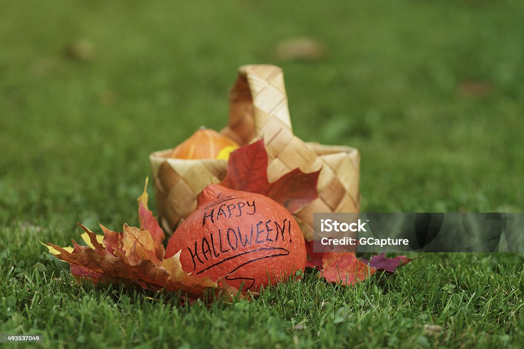 Halloween pumpkin with basket and leaves Halloween pumpkin with basket and leaves, on grass Autumn Stock Photo