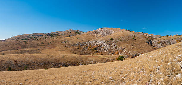 istock Panoramic landscape with Babuhan Yaila natural reserve in Crimea 493538772