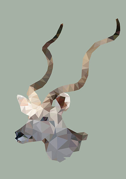 polygonal greater kudu, polygon geometric animal, vector polygonal greater kudu, polygon geometric animal, vector kudu stock illustrations