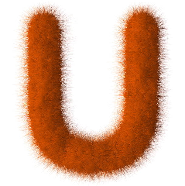 istock Orange shag U letter isolated on white background 493539177