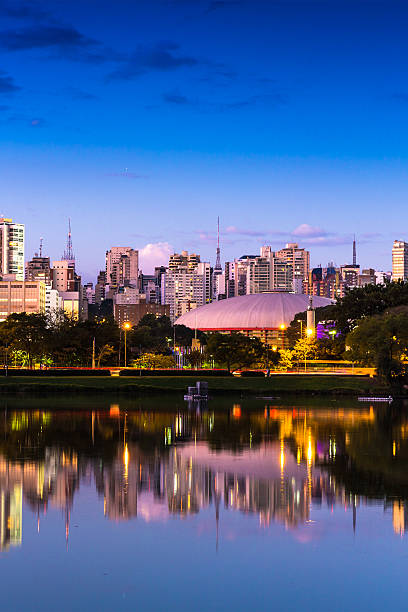 istock Sao Paulo skyline at night in Brazil 493539736