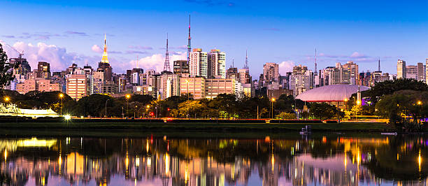 istock Sao Paulo skyline at night in Brazil 493539766