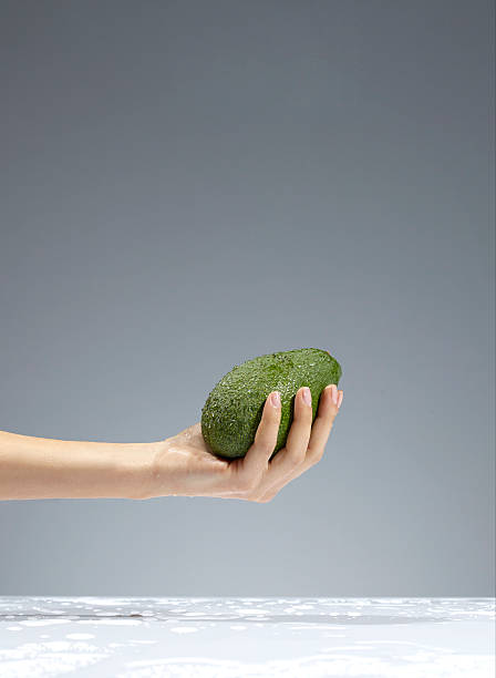 Hand Holding Avocado