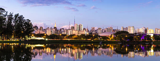 istock Sao Paulo skyline at night in Brazil 493540090