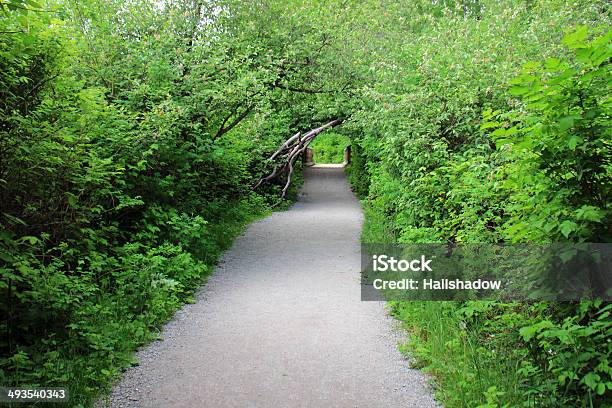 Nature Bycicle Trail Stock Photo - Download Image Now - Adventure, Autumn, Beauty