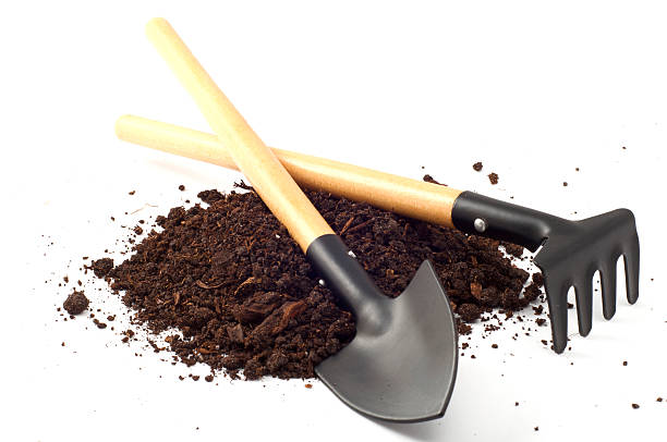 istock garden spade and a rake on peat soil 493540413