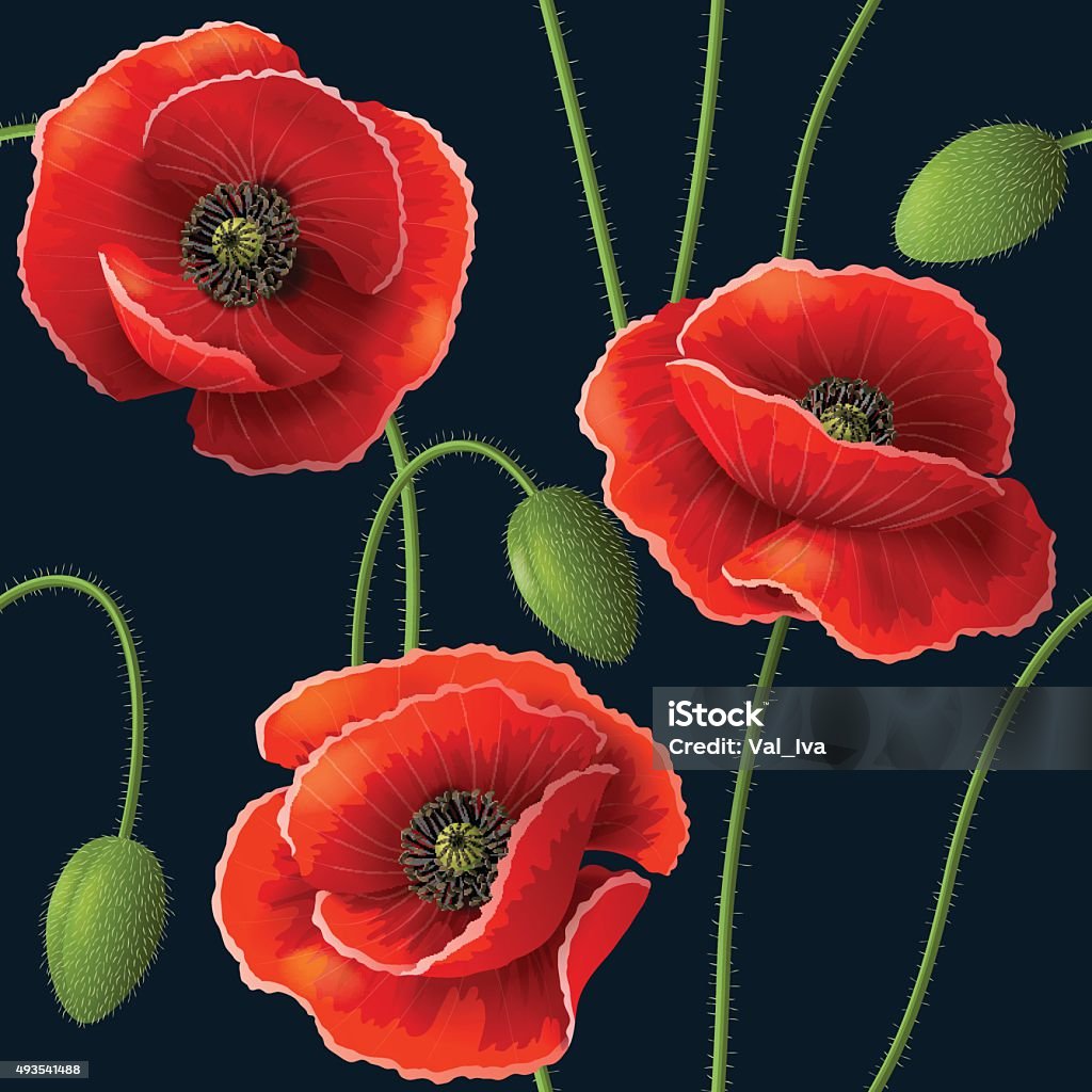 Poppy pattern on dark Seamless pattern with red poppy flowers and buds on dark. Poppy - Plant stock vector