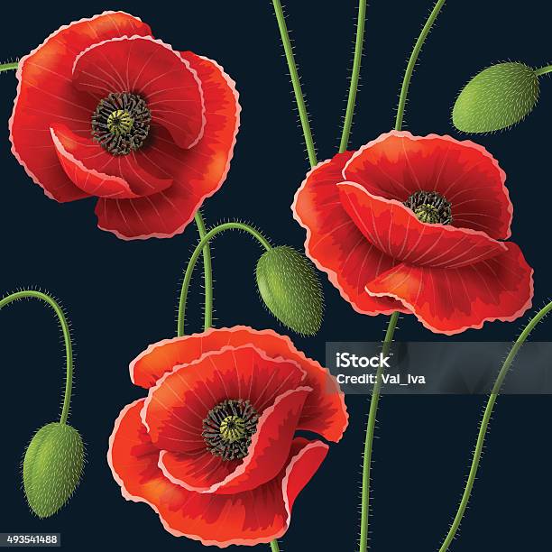 Poppy Pattern On Dark Stock Illustration - Download Image Now - Poppy - Plant, Dark, Floral Pattern