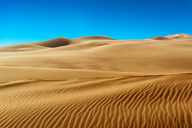 istock Gold desert in sunset. 493542160