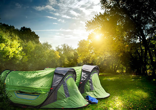 istock Two tents in the woods 493542172
