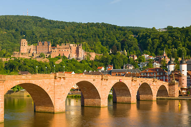 istock Heidelberg in a summer evening 493547958