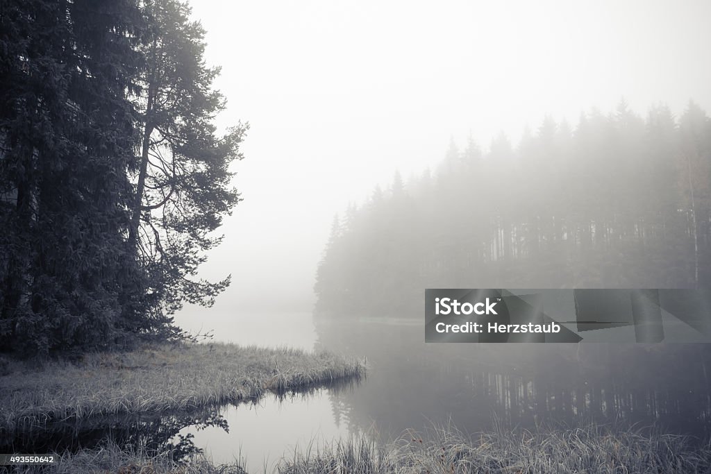 Forest lake in morning fog A forest lake in the early morning fog 2015 Stock Photo