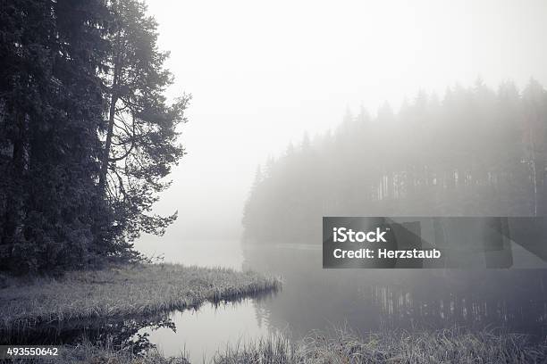 Forest Lake In Morning Fog Stock Photo - Download Image Now - 2015, Autumn, Black Color