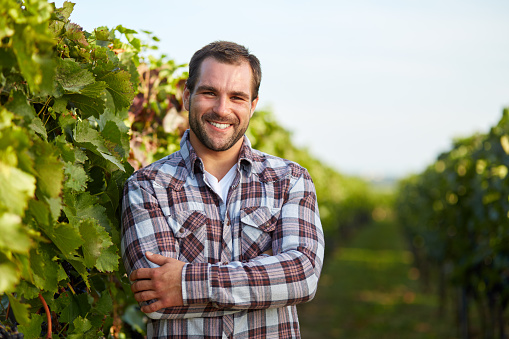 Young winemaker in vineyard with arms crossed