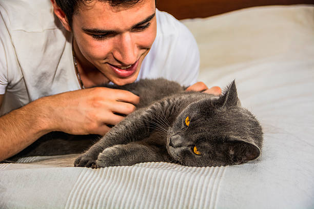 istock Handsome Young Man Cuddling his Gray Cat Pet 493556400